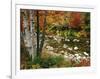 Swift River with Aspen and Maple Trees in the White Mountains, New Hampshire, USA-Darrell Gulin-Framed Photographic Print