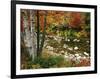 Swift River with Aspen and Maple Trees in the White Mountains, New Hampshire, USA-Darrell Gulin-Framed Photographic Print