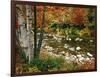 Swift River with Aspen and Maple Trees in the White Mountains, New Hampshire, USA-Darrell Gulin-Framed Photographic Print