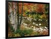 Swift River with Aspen and Maple Trees in the White Mountains, New Hampshire, USA-Darrell Gulin-Framed Photographic Print