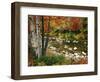 Swift River with Aspen and Maple Trees in the White Mountains, New Hampshire, USA-Darrell Gulin-Framed Premium Photographic Print