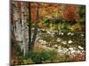 Swift River with Aspen and Maple Trees in the White Mountains, New Hampshire, USA-Darrell Gulin-Mounted Premium Photographic Print