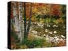 Swift River with Aspen and Maple Trees in the White Mountains, New Hampshire, USA-Darrell Gulin-Stretched Canvas