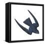 Swiftlet (Collocalia), Birds-Encyclopaedia Britannica-Framed Stretched Canvas