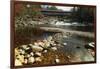 Swiftwater Covered Bridge, Bath, Newpshire-George Oze-Framed Photographic Print