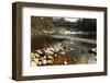 Swiftwater Covered Bridge, Bath, Newpshire-George Oze-Framed Photographic Print