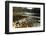 Swiftwater Covered Bridge, Bath, Newpshire-George Oze-Framed Photographic Print