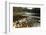 Swiftwater Covered Bridge, Bath, Newpshire-George Oze-Framed Photographic Print