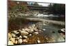 Swiftwater Covered Bridge, Bath, Newpshire-George Oze-Mounted Photographic Print