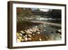 Swiftwater Covered Bridge, Bath, Newpshire-George Oze-Framed Photographic Print