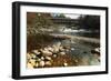 Swiftwater Covered Bridge, Bath, Newpshire-George Oze-Framed Photographic Print