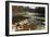 Swiftwater Covered Bridge, Bath, Newpshire-George Oze-Framed Photographic Print