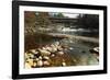 Swiftwater Covered Bridge, Bath, Newpshire-George Oze-Framed Photographic Print