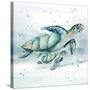 Swim Lessons I-Janet Tava-Stretched Canvas