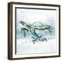 Swim Lessons II-Janet Tava-Framed Art Print