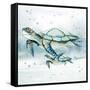 Swim Lessons II-Janet Tava-Framed Stretched Canvas