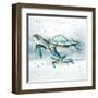 Swim Lessons II-Janet Tava-Framed Art Print