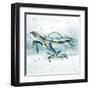 Swim Lessons II-Janet Tava-Framed Art Print