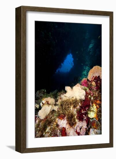 Swim Through, Dominica, West Indies, Caribbean, Central America-Lisa Collins-Framed Photographic Print