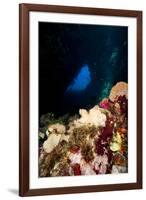 Swim Through, Dominica, West Indies, Caribbean, Central America-Lisa Collins-Framed Photographic Print