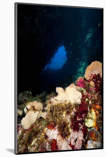Swim Through, Dominica, West Indies, Caribbean, Central America-Lisa Collins-Mounted Photographic Print