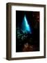 Swim Through, Dominica, West Indies, Caribbean, Central America-Lisa Collins-Framed Photographic Print