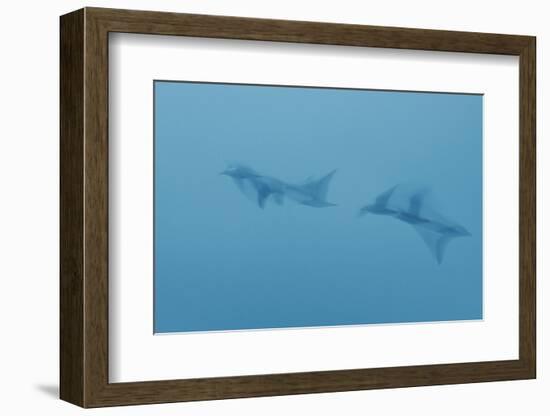 Swim Through Thick Air-Jacob Berghoef-Framed Photographic Print