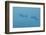 Swim Through Thick Air-Jacob Berghoef-Framed Photographic Print