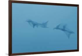 Swim Through Thick Air-Jacob Berghoef-Framed Photographic Print