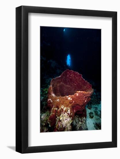 Swim Through with Giant Sponge, Dominica, West Indies, Caribbean, Central America-Lisa Collins-Framed Photographic Print