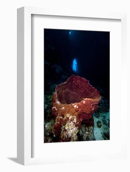 Swim Through with Giant Sponge, Dominica, West Indies, Caribbean, Central America-Lisa Collins-Framed Photographic Print