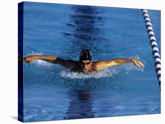 Swimmer Competing in a Butterfly Race-null-Stretched Canvas