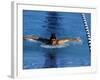 Swimmer Competing in a Butterfly Race-null-Framed Photographic Print