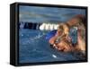Swimmer Doing the Freestyle-null-Framed Stretched Canvas