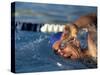 Swimmer Doing the Freestyle-null-Stretched Canvas