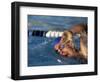 Swimmer Doing the Freestyle-null-Framed Photographic Print