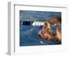 Swimmer Doing the Freestyle-null-Framed Photographic Print