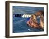 Swimmer Doing the Freestyle-null-Framed Photographic Print