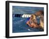 Swimmer Doing the Freestyle-null-Framed Photographic Print