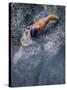 Swimmer Gliding Through the Water-null-Stretched Canvas