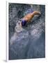 Swimmer Gliding Through the Water-null-Framed Photographic Print