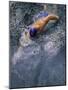 Swimmer Gliding Through the Water-null-Mounted Photographic Print