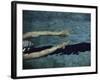 Swimmer in a Pool-null-Framed Photographic Print
