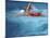 Swimmer in Red Suit-null-Mounted Photographic Print