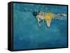 Swimmer in Yellow, 1990-Gareth Lloyd Ball-Framed Stretched Canvas