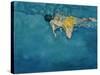 Swimmer in Yellow, 1990-Gareth Lloyd Ball-Stretched Canvas