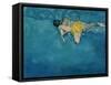 Swimmer in Yellow, 1990-Gareth Lloyd Ball-Framed Stretched Canvas