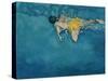 Swimmer in Yellow, 1990-Gareth Lloyd Ball-Stretched Canvas