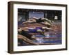 Swimmers Diving to Start a Race at Summer Olympics-null-Framed Photographic Print