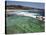 Swimmers Do Laps at Ocean Filled Pools Flanking the Sea at Sydney's Bronte Beach, Australia-Andrew Watson-Stretched Canvas